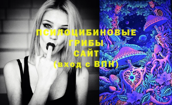 крисы Беломорск