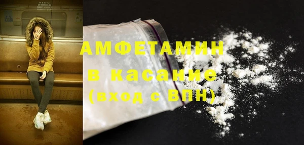 гидра Дрезна